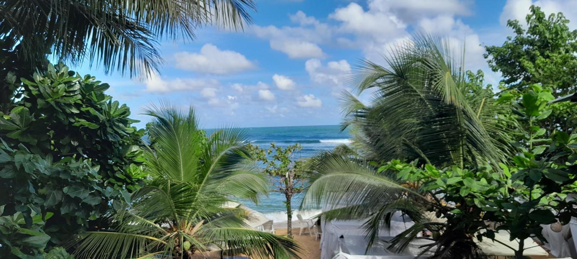 Toddy By Windy Apartment Unawatuna Bagian luar foto
